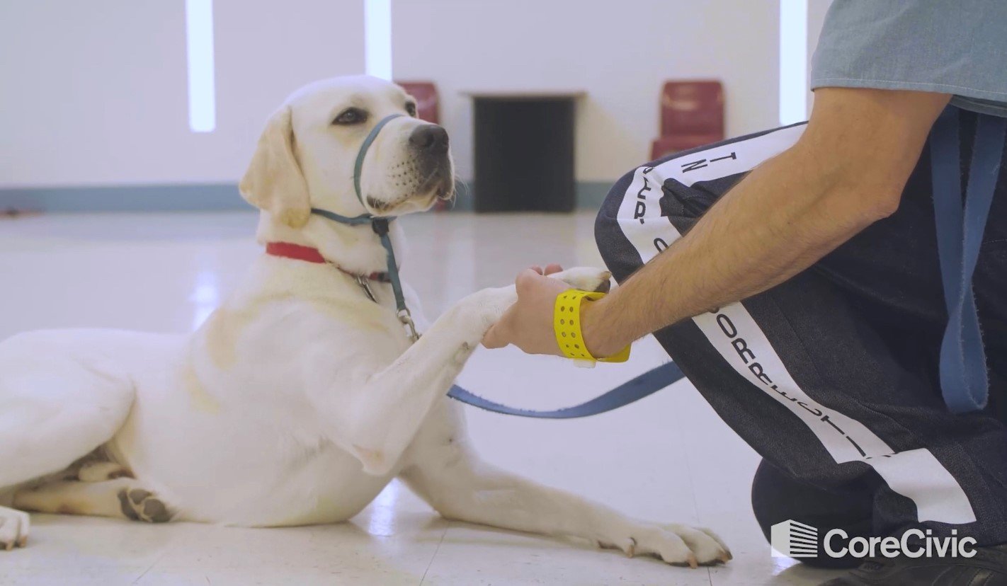 dog-training-program-promotes-hope-and-healing
